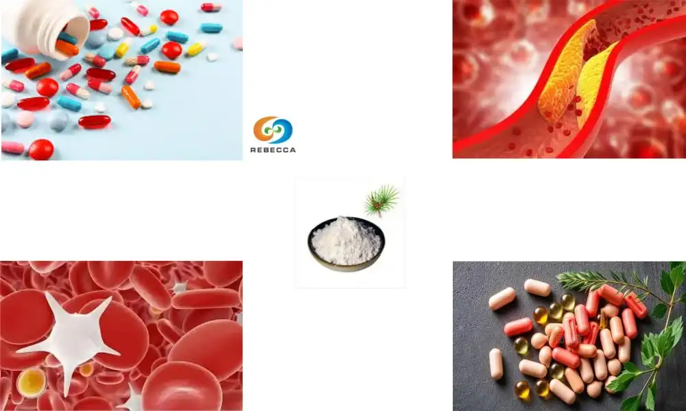 Does the Interaction Between Saw Palmetto and Anticoagulants Increase the Risk of Bleeding?